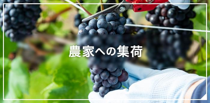 農家への集荷